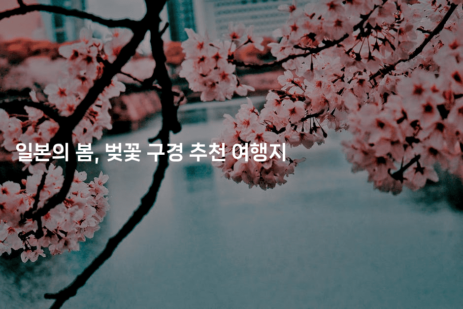 일본의 봄, 벚꽃 구경 추천 여행지
2-코토리