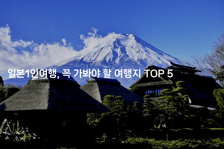 일본1인여행, 꼭 가봐야 할 여행지 TOP 5-코토리