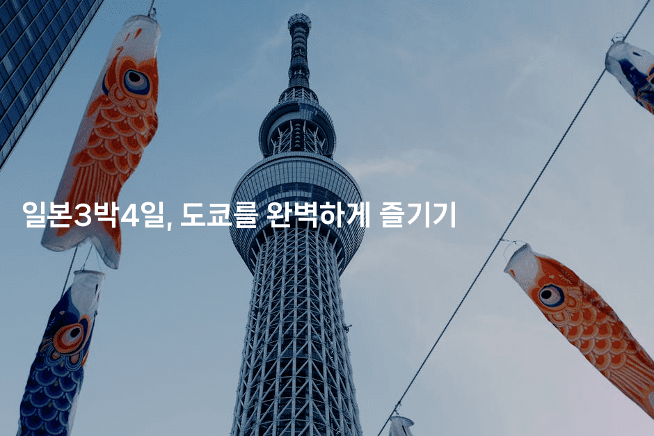 일본3박4일, 도쿄를 완벽하게 즐기기 2-코토리