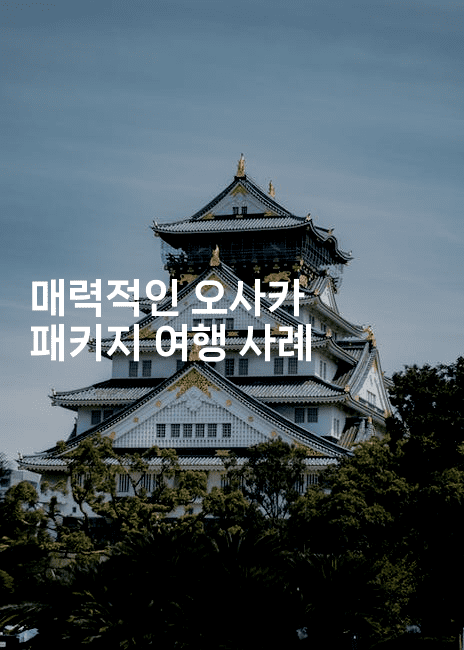 매력적인 오사카 패키지 여행 사례 -코토리