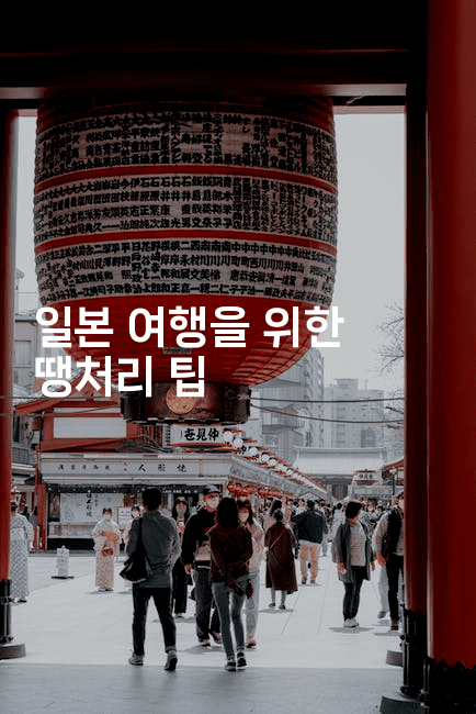 일본 여행을 위한 땡처리 팁2-코토리