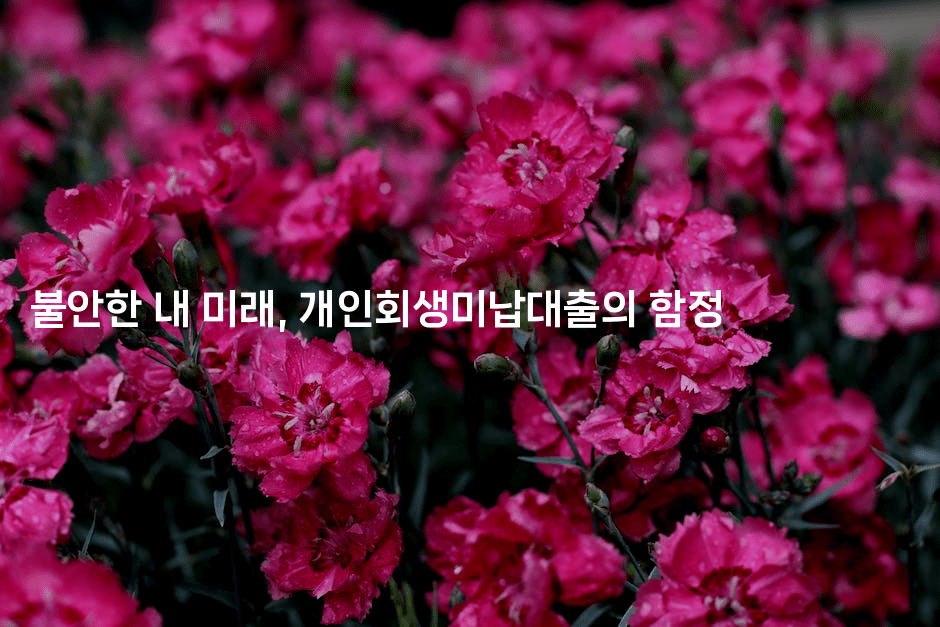 불안한 내 미래, 개인회생미납대출의 함정