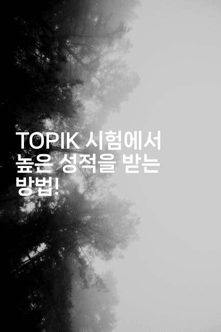 TOPIK 시험에서 높은 성적을 받는 방법!2-코토리