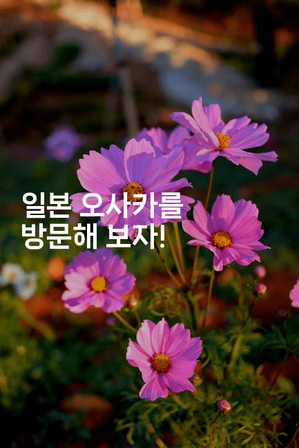 일본 오사카를 방문해 보자!