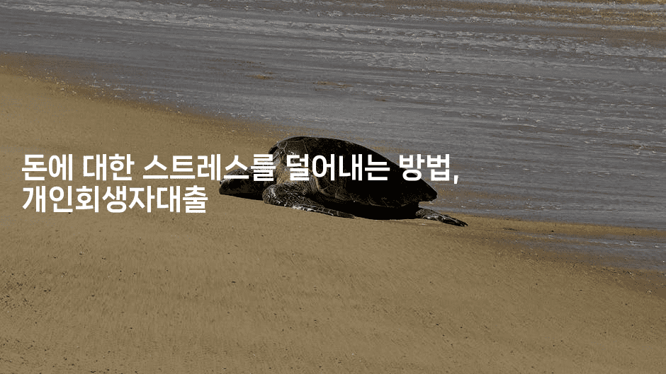 돈에 대한 스트레스를 덜어내는 방법, 개인회생자대출