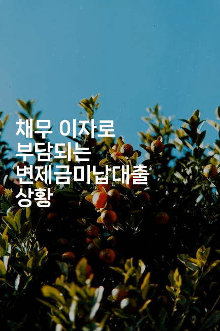 채무 이자로 부담되는 변제금미납대출 상황-코토리