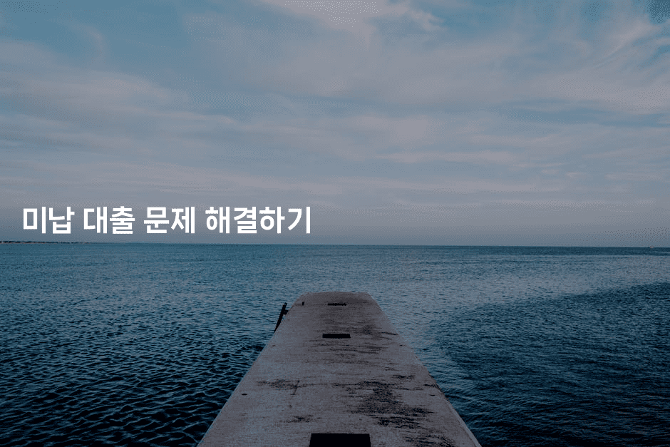 미납 대출 문제 해결하기-코토리