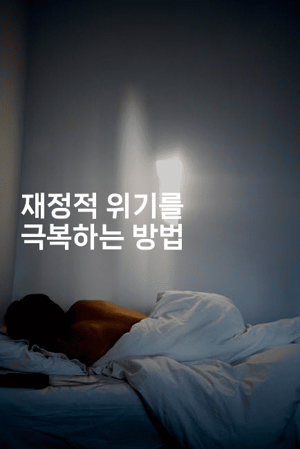 재정적 위기를 극복하는 방법-코토리