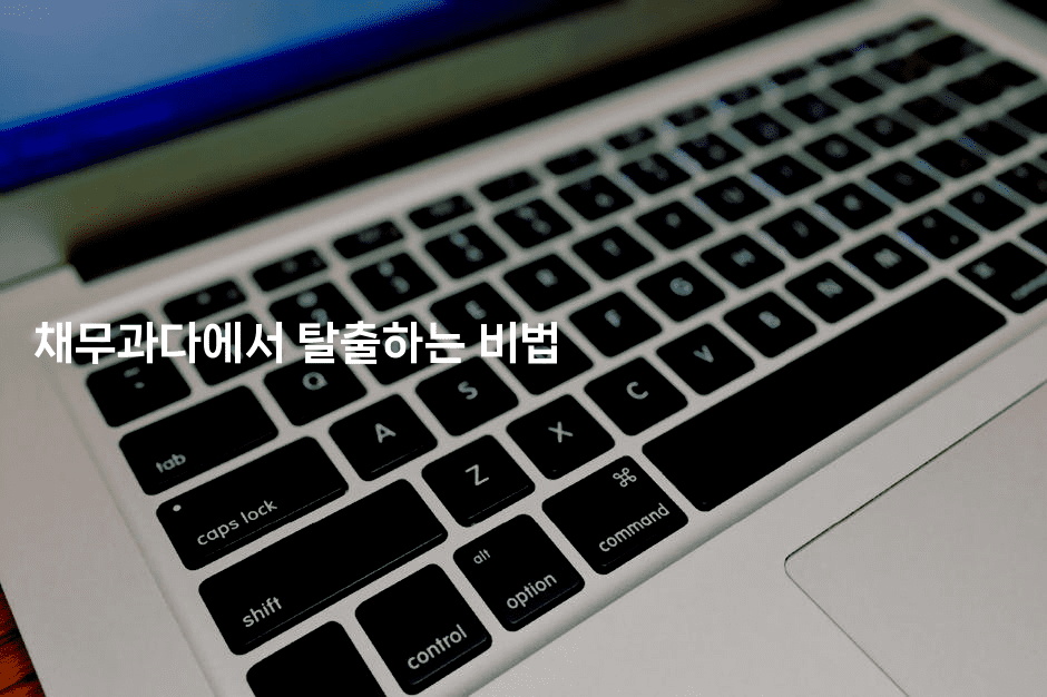 채무과다에서 탈출하는 비법-코토리