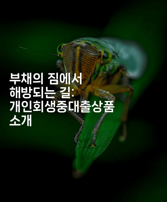 부채의 짐에서 해방되는 길: 개인회생중대출상품 소개-코토리