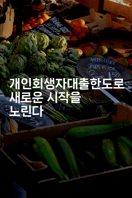 개인회생자대출한도로 새로운 시작을 노린다